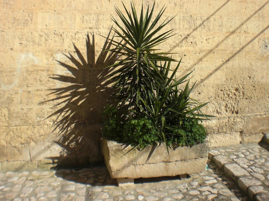 Casa Vacanza "Nel Cuore Dei Sassi" Apartments Matera Luaran gambar